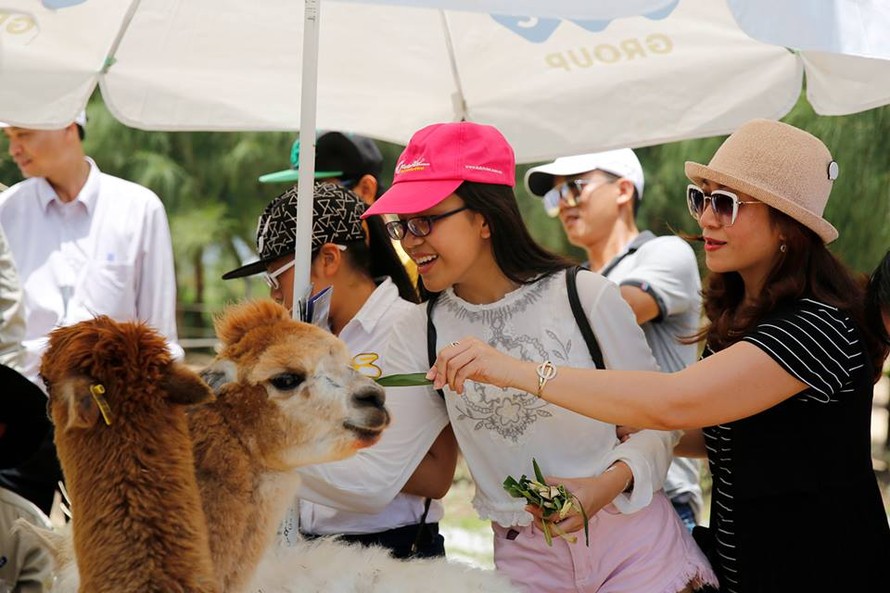 FLC Zoo Safari Park là nơi các bé được tìm hiểu về các loài động vật trong môi trường sống gần gũi với tự nhiên