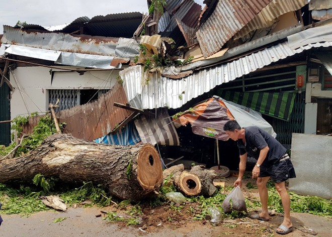 Cây cổ thụ bật gốc đè 3 căn nhà ở Sài Gòn, bé gái 13 tuổi bị thương