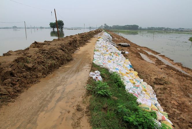 Nước sông Bùi dâng cao đe dọa an toàn đê tả Bùi. Ảnh: Trường Phong