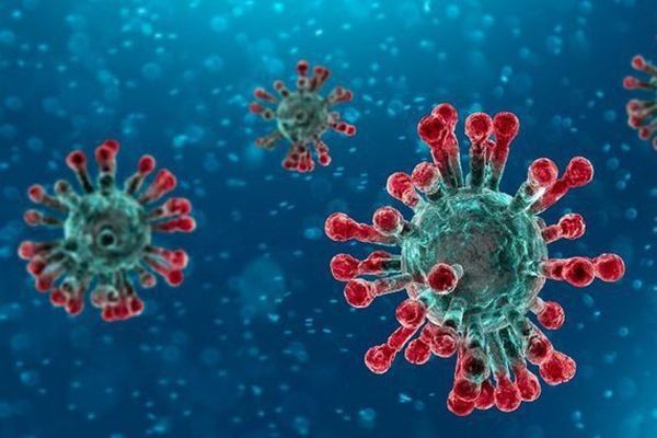 Tình báo Mỹ bác bỏ thông tin virus SARS-CoV-2 do con người tạo ra