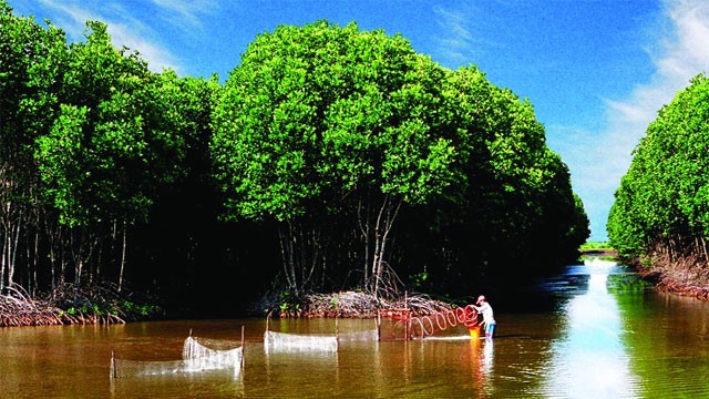 Ảnh minh họa