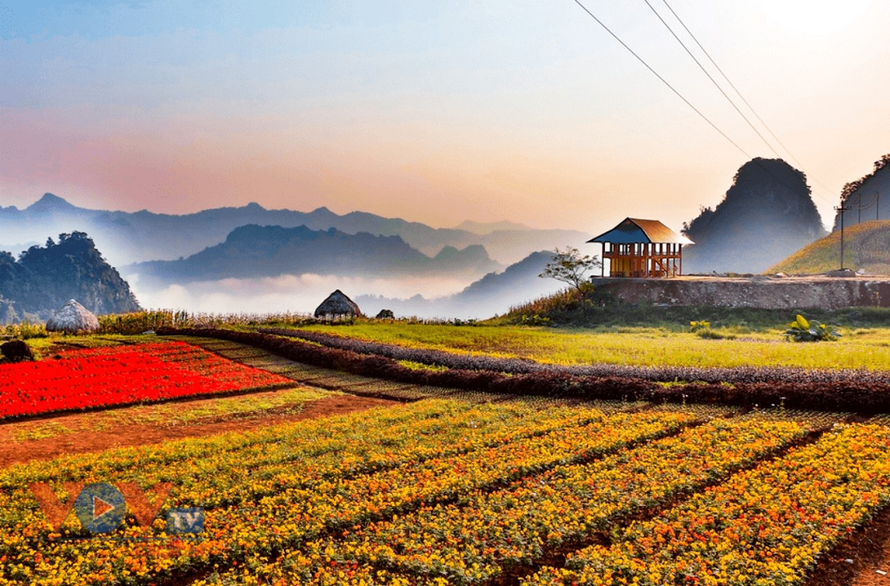 Bình nguyên Khai Trung, huyện Lục Yên có khí hậu như Đà Lạt thứ hai rất phù hợp để phát triển mô hình du lịch trekking và phát triển homestay