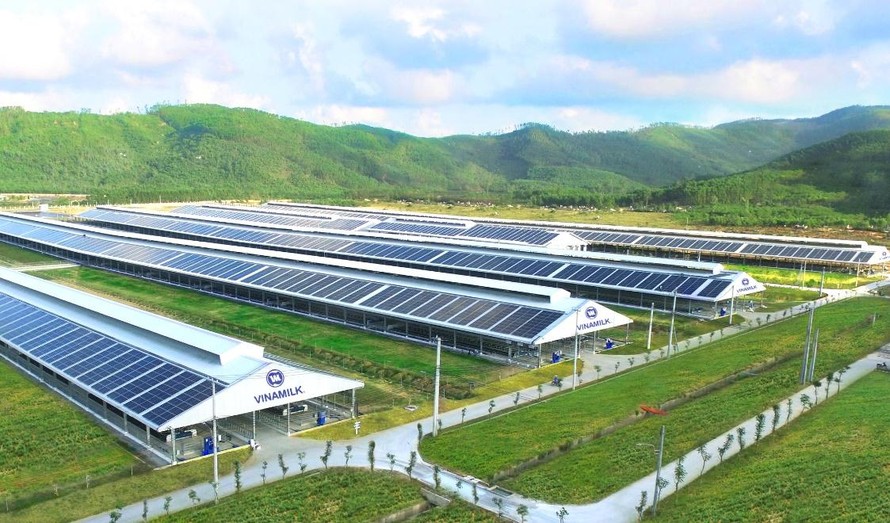 Mô hình phát triển bền vững ‘Vinamilk Green Farm’ được chia sẻ tại Hội nghị sữa toàn cầu