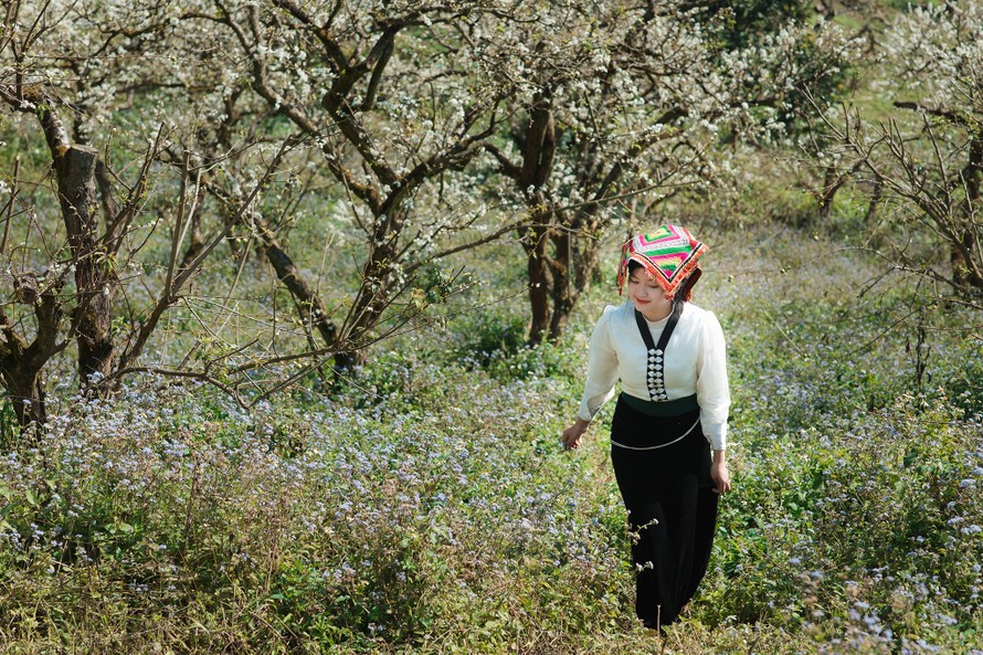 Lắng nghe mùa Xuân về