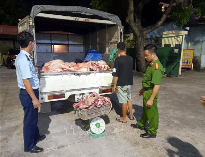 Số thịt lợn không đảm bảo đảm yêu cầu vệ sinh thú y và an toàn thực phẩm buộc phải tiêu hủy. Ảnh: TTXVN