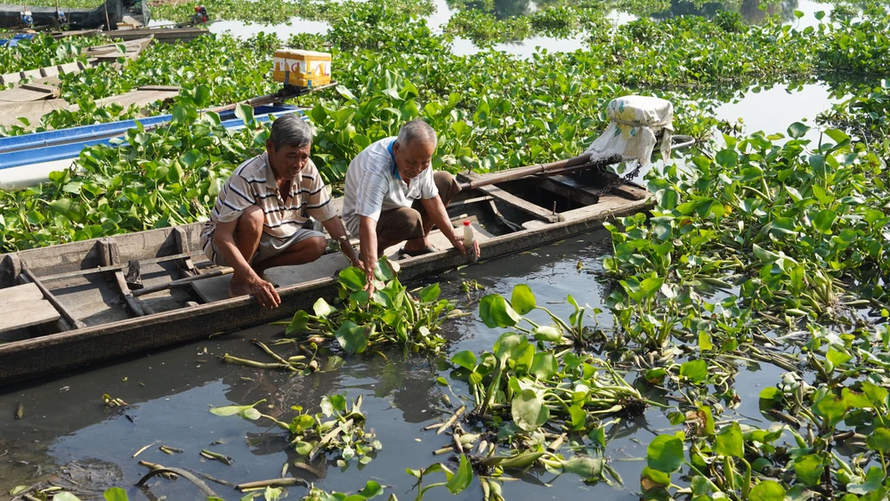 Truy tìm nguồn thải biến nước sông Vàm Cỏ Đông thành màu đen, bốc mùi hôi bất thường 