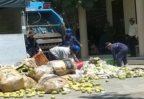 Hải quan cửa khẩu quốc tế Hà Tiên kiểm tra xoài nhập lậu vào Việt Nam. Ảnh: Nhật Tân.