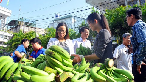 Ba tháng đầu năm phải cứu nông sản hai lần