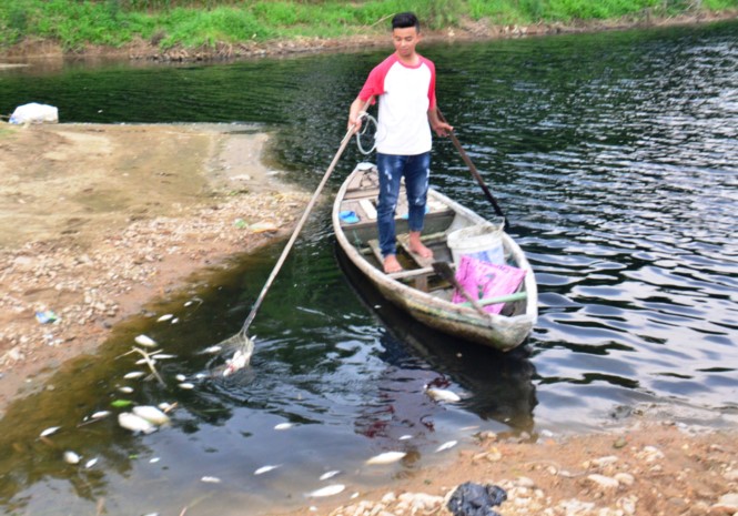 Người dân chèo ghe để đi vớt cá.