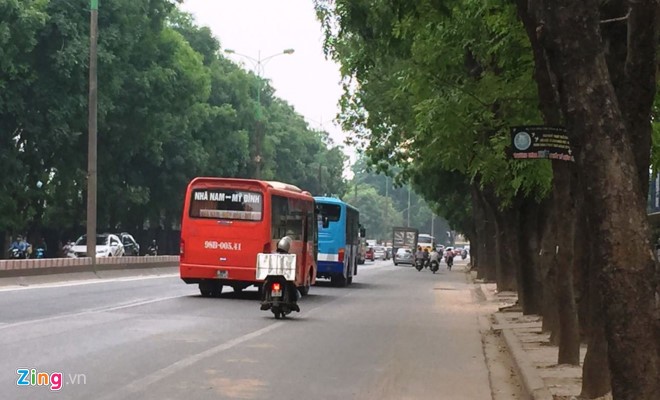 Hơn 1.300 cây xanh trên đường Phạm Văn Đồng sẽ bị chặt hạ, di chuyển. Ảnh: Văn Chương.