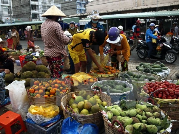 (Ảnh minh họa: Kim Há/TTXVN)