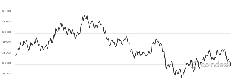 Giá Bitcoin hôm nay 14/2: Vực dậy khó khăn 