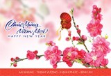 Chào Xuân Mậu Tuất 2018 – Niềm tin dâng trào