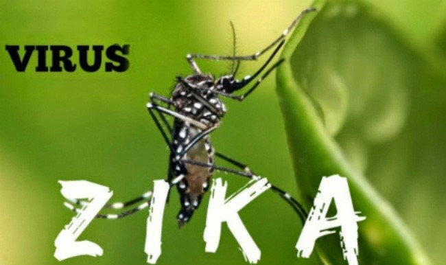 Zika vẫn là thách thức y tế nhưng không còn là sự kiện khẩn cấp gây quan ngại quốc tế