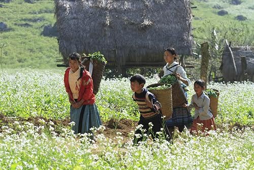 Những ngày tới vùng cao ở miền Bắc tiếp tục chìm trong giá rét về đêm và sáng sớm. 