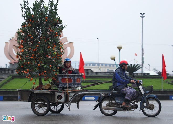 Thu nhập của những người chở cây cảnh thuê dịp Tết khá cao. Tuy nhiên, công việc này cũng vất vả. 