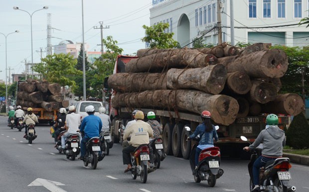 Tổng cục Đường bộ đề nghị xử lý nghiêm xe quá khổ, quá tải. 