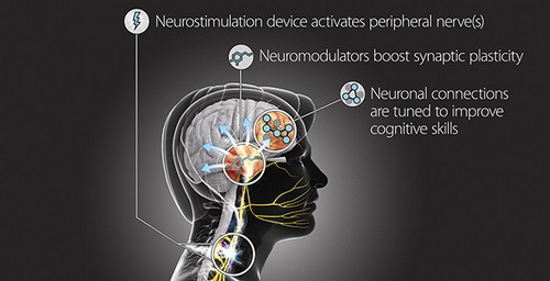 Chương trình TNT có thể giúp binh sĩ Mỹ học hỏi nhanh hơn. Ảnh: DARPA.