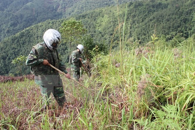 Hoạt động rà phá bom mìn tại Việt Nam. 