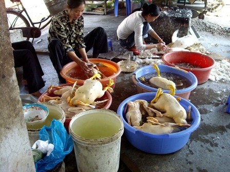 'An toàn thực phẩm đã đến mức báo động'