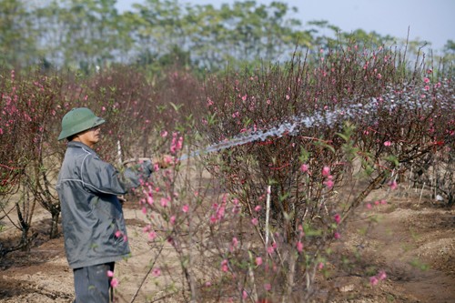 Bắc Bộ trời ấm dần, không khí lạnh gây mưa cho Trung Bộ