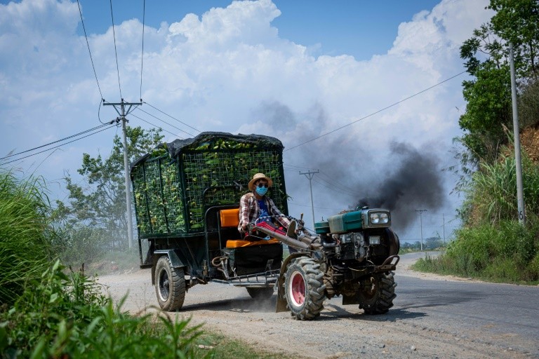 Trung Quốc mua lại động vật hoang dã của nông dân