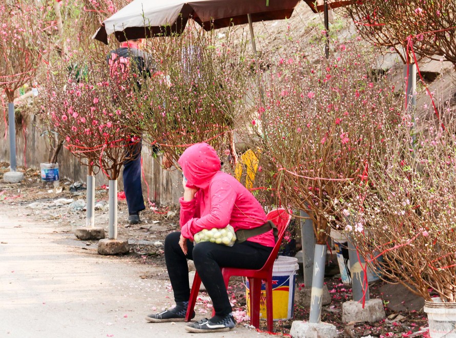 Chợ hoa những ngày giáp Tết: Đắt làm của, ế làm củi