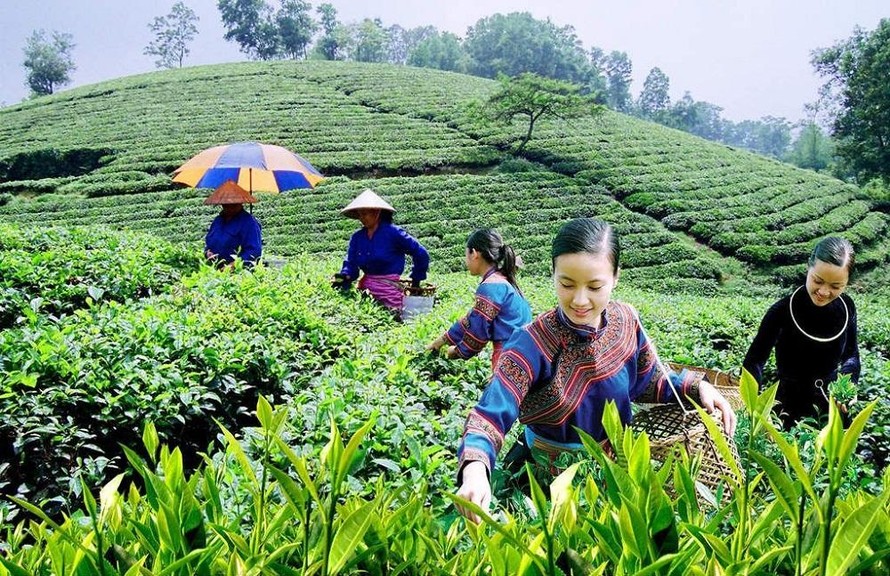 Ngày Hợp tác xã Quốc tế: Cùng nhau xây dựng lại một thế giới tốt đẹp hơn