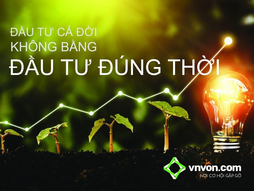 Vốn từ vài chục triệu đồng, đầu tư gì trong mùa dịch? 