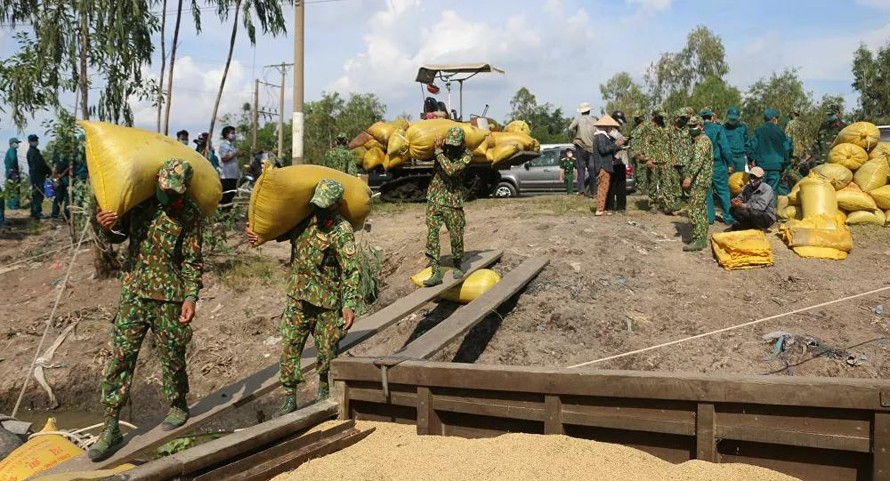 Chi viện vật tư, nhân lực các tỉnh, thành phía Nam