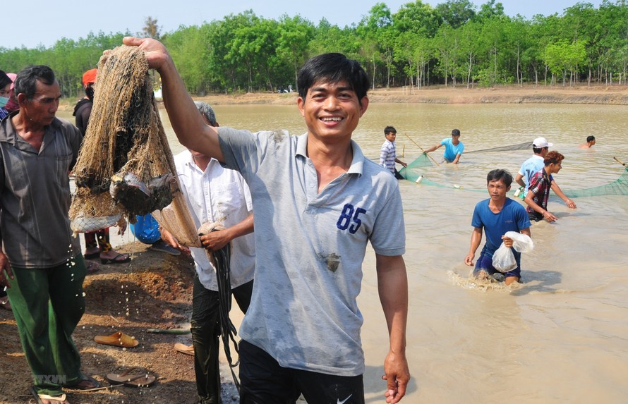 Lễ hội Phá Bàu của người Khmer: Cầu mong mùa màng bội thu