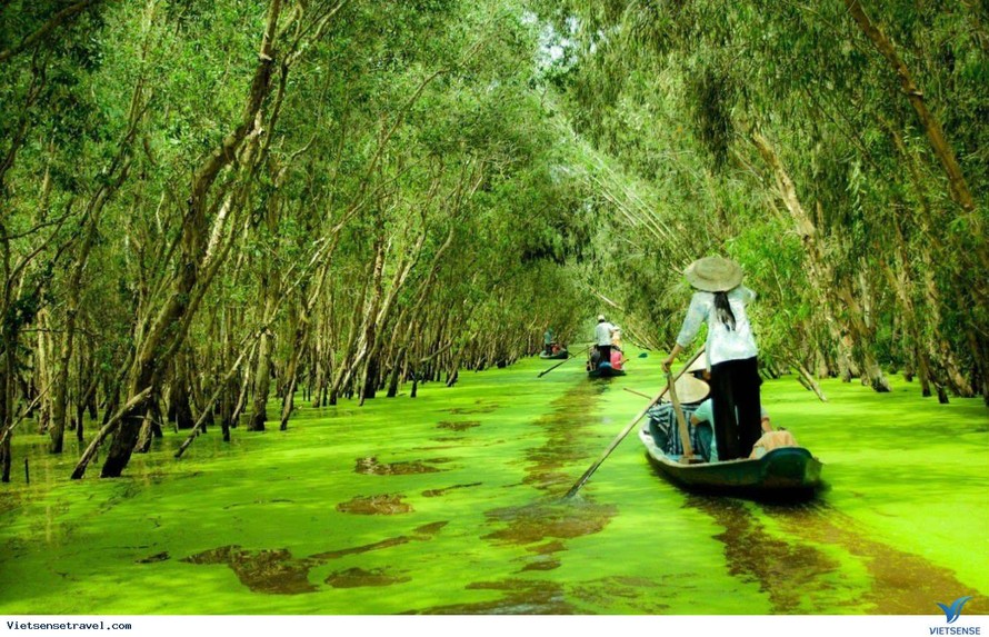 Đồng bằng sông Cửu Long hút du khách bằng những điểm đến xanh mát