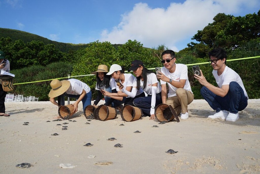 Chiến dịch 'Save The Ocean' gây Quỹ Bảo tồn môi trường sống của rùa biển