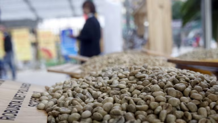 Nikkei Asia: Giá cà phê nguyên liệu Việt Nam tăng mạnh 