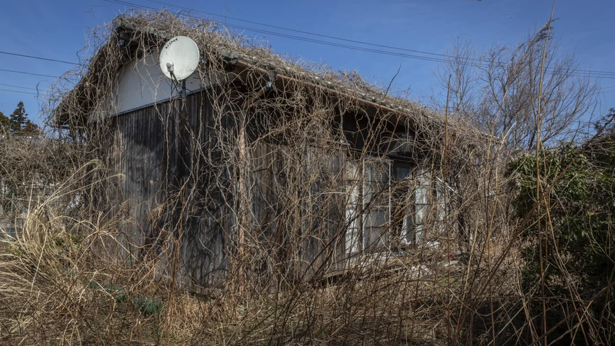 9 triệu căn nhà bị bỏ không tại Nhật Bản