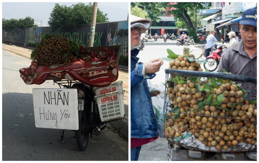 Sự thật đằng sau quả 'nhãn lồng Hưng Yên' đang bày bán nhan nhản ở Hà Nội