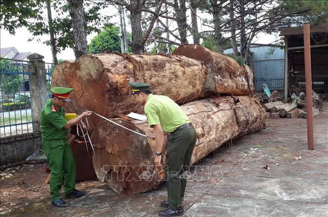 Tang vật vụ án. Ảnh: Ngọc Minh