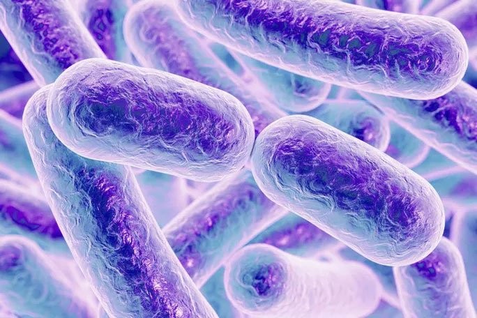 Vi khuẩn Clostridium difficile đang tiến hóa thành 2 loài mới, trong đó có một loài vô cùng đáng sợ, ưa tấn công người hảo ngọt và đe dọa tạo ra một "siêu bệnh" mới