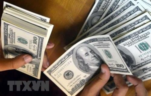 Kiểm đồng USD. (Ảnh: AFP/TTXVN)