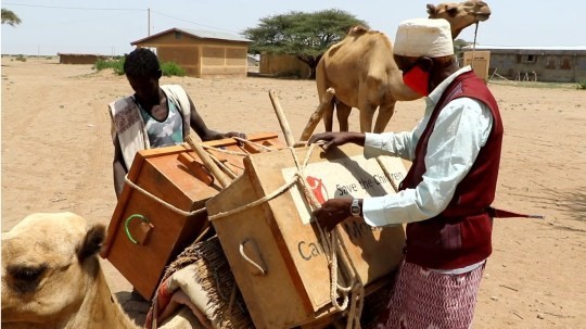 Lạc đà mang sách đến cho trẻ em ở Ethiopia. (Nguồn: Save the children)