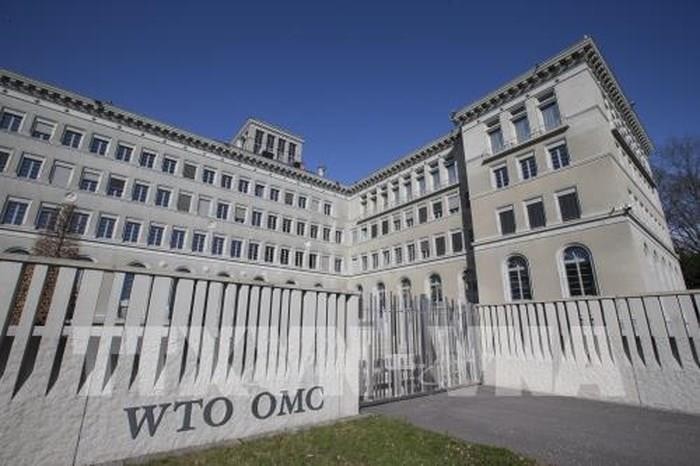 WTO: Dịch Covid-19 ảnh hưởng trực tiếp đến thương mại hàng hóa và dịch vụ toàn cầu