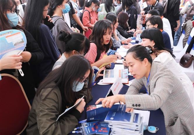 Tuyển sinh Đại học 2022: Không có sự bất bình đẳng khi xét tuyển bằng IELTS, TOEFL