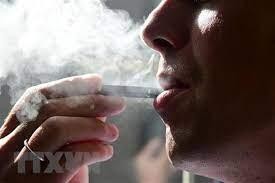 Đan Mạch nỗ lực đảm bảo thế hệ tương lai không khói thuốc