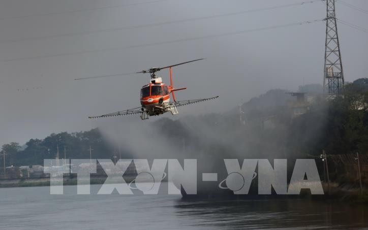 Hàn Quốc nỗ lực ngăn chặn dịch tả lợn châu Phi