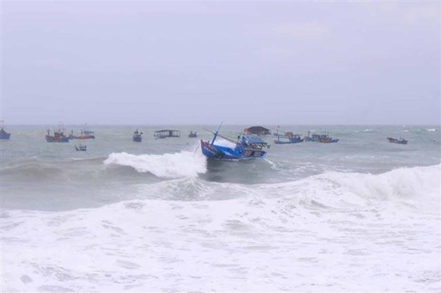 Các tỉnh, thành phố chủ động ứng phó với mưa lớn và gió mạnh trên biển