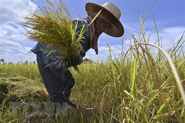 Hàng tỷ người ​trên thế giới hứng chịu nhiệt độ trung bình tăng cao hơn ngưỡng 1,5 độ C