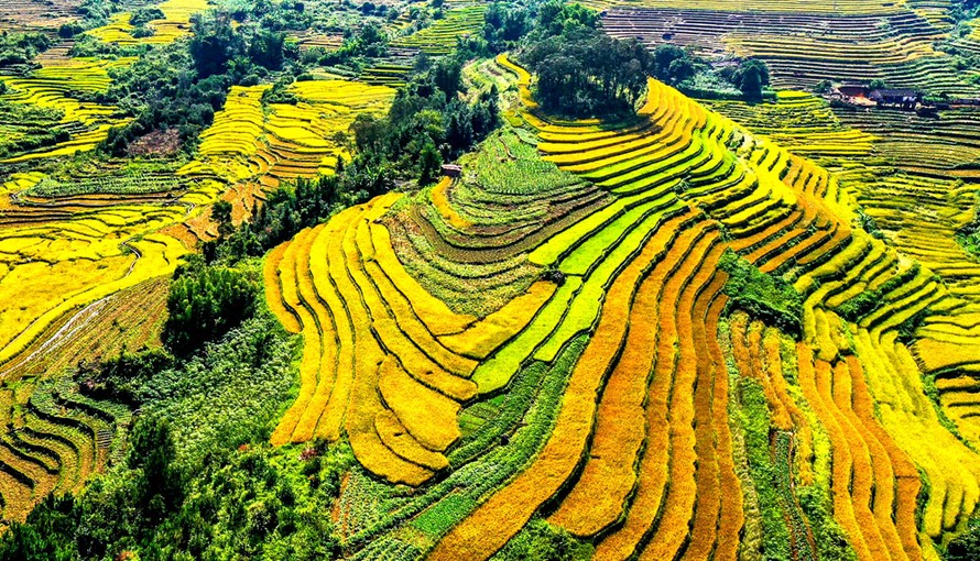 Tuần Văn hóa - Du lịch, Hội mùa vàng Bình Liêu năm 2023 sẽ diễn ra từ ngày 15/10