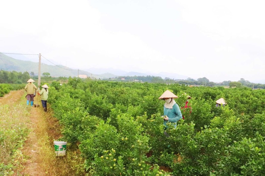 Lấy tiêu chí "nông dân hạnh phúc" để xây dựng nông thôn mới kiểu mẫu