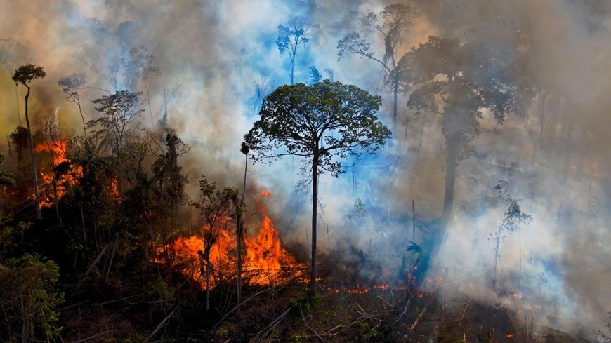 Cảnh báo gia tăng số vụ cháy rừng nhiệt đới ẩm tại châu Phi
