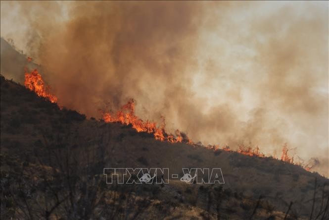 Hơn 52.000 người tử vong trong thập kỷ qua do ô nhiễm từ cháy rừng ở California